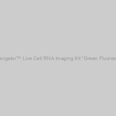 Image of Cell Navigator™ Live Cell RNA Imaging Kit *Green Fluorescence*